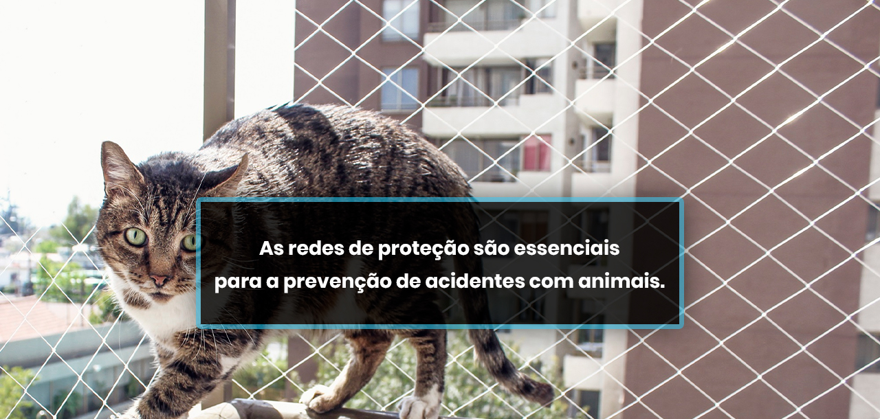 As redes de proteção são essenciais para a prevenção de acidentes com animais.